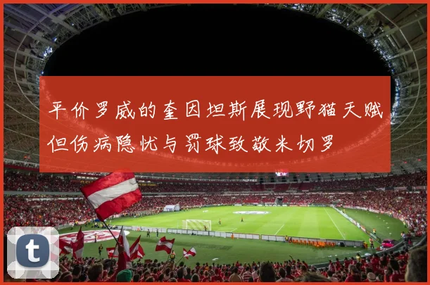 平价罗威的奎因坦斯展现野猫天赋但伤病隐忧与罚球致敬米切罗